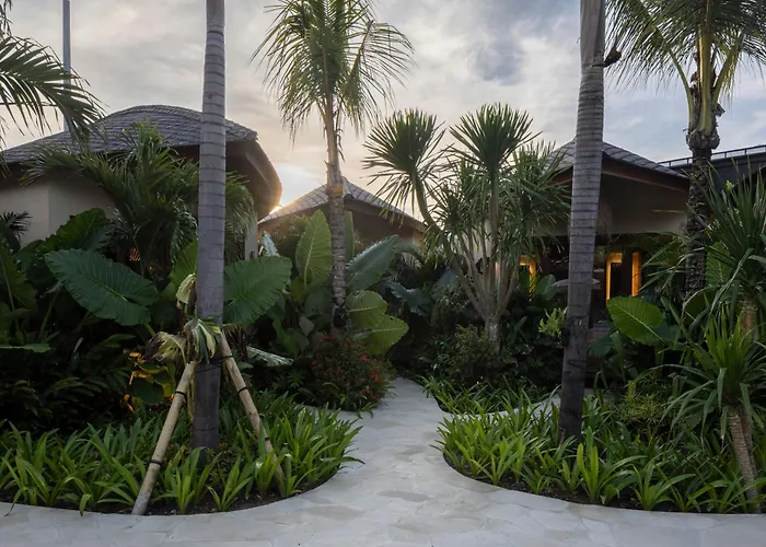 Kima Surf Camp Auberge de jeunesse
