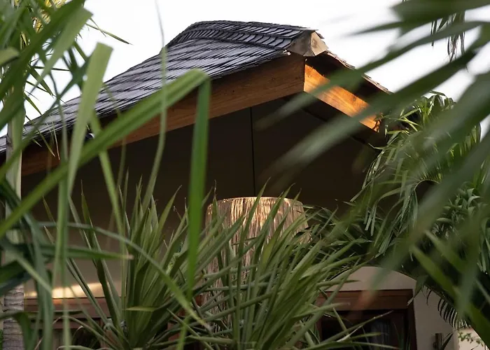 Kima Surf Camp Auberge de jeunesse
