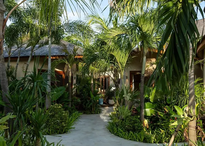 Kima Surf Camp Auberge de jeunesse